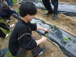 畑作業の様子２
